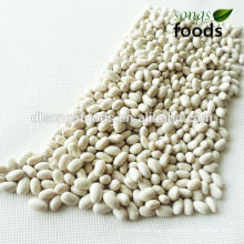 Japanese Type White Beans